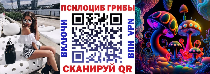 где можно купить   Новый Уренгой  ОМГ ОМГ tor  Галлюциногенные грибы мицелий 