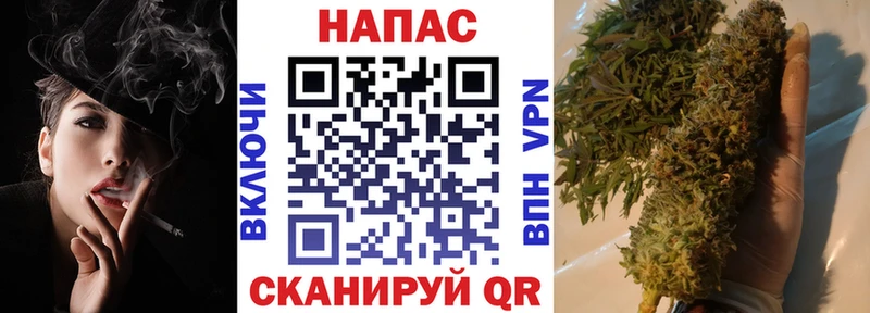 blacksprut как зайти  Новый Уренгой  Конопля семена 